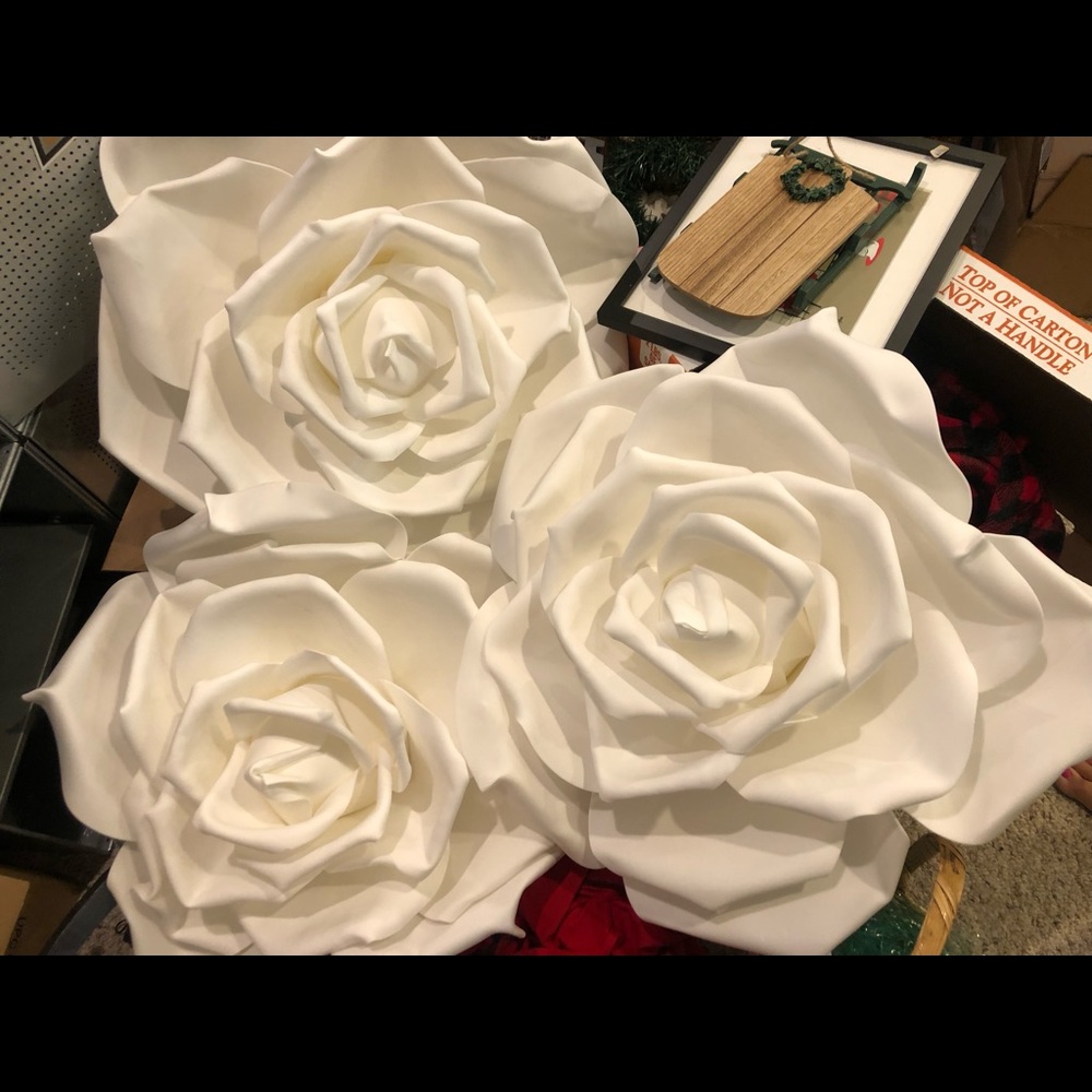 Giant white roses